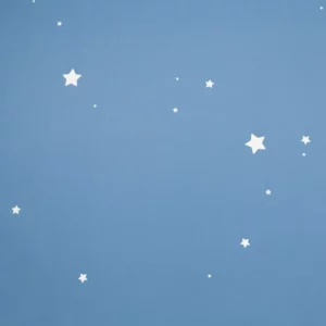 Флизелиновые обои в Калининграде